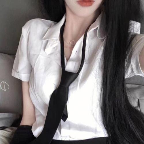 暴龙真相